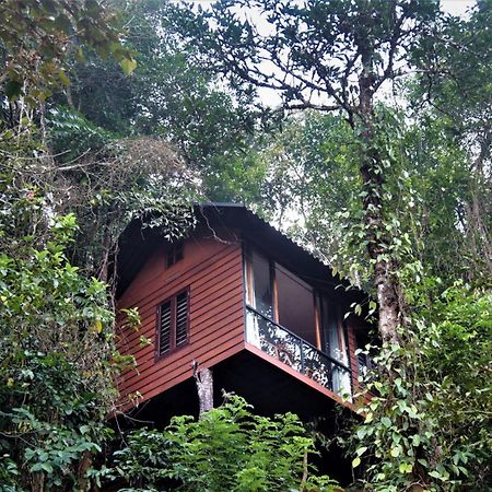 비티리 Tree6 Wayanad 빌라 외부 사진