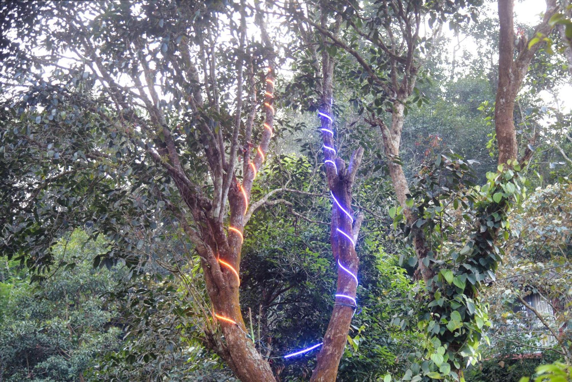 비티리 Tree6 Wayanad 빌라 외부 사진