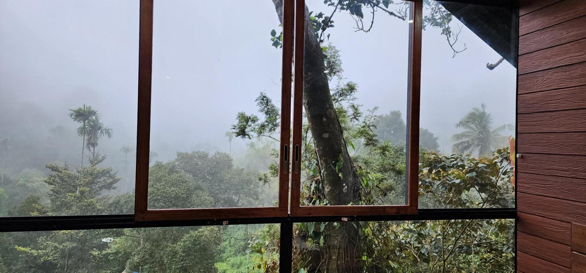 비티리 Tree6 Wayanad 빌라 외부 사진